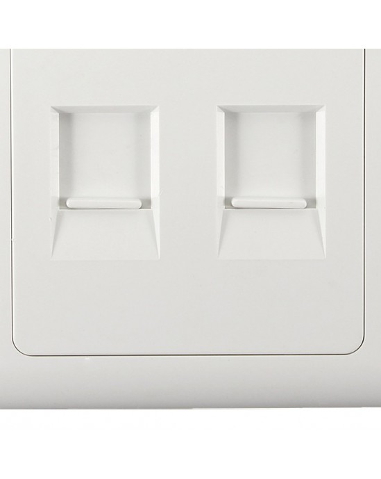 Twin RJ45 Face Plate