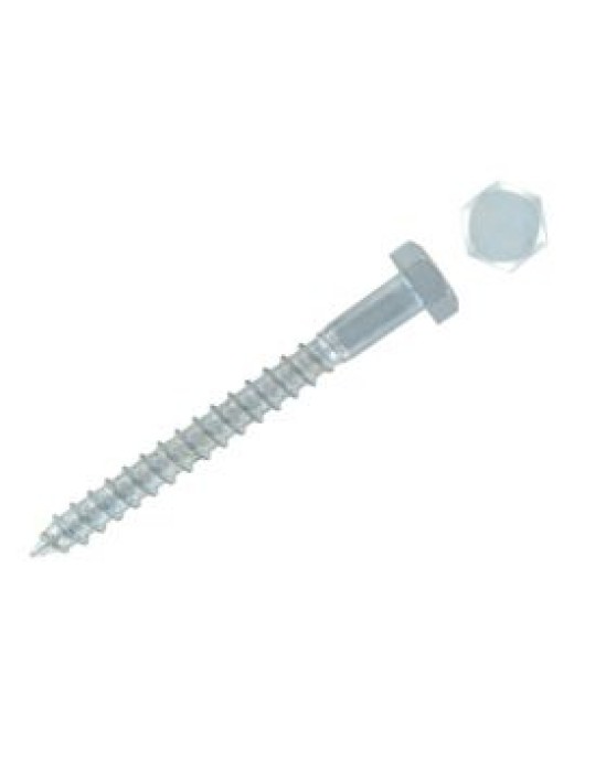 M8x80mm Coach Screw (100)