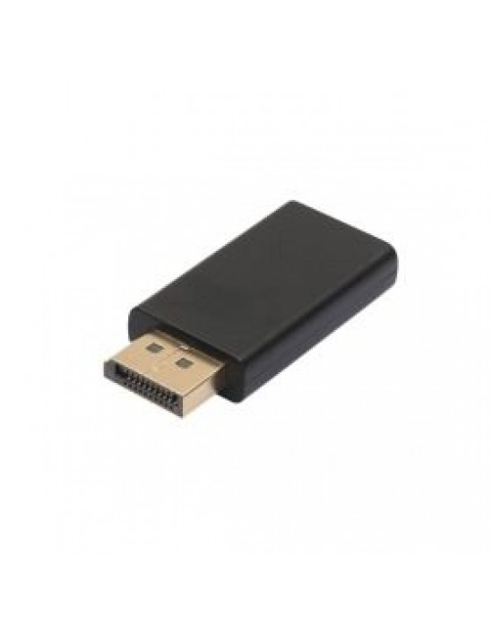 HDMI to DisplayPort Adapter