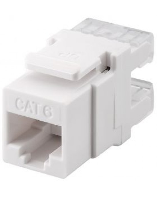 CAT6 Keystone Module