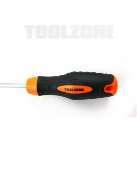 Phillips Screwdriver (100mm)